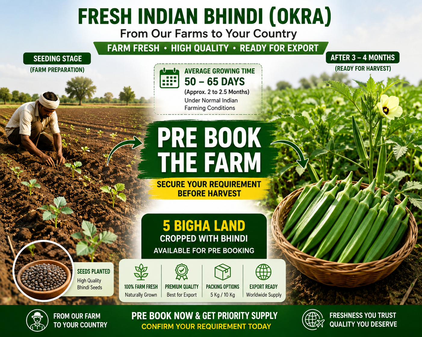 Fresh Bhindi Okra farm crop available for pre-booking