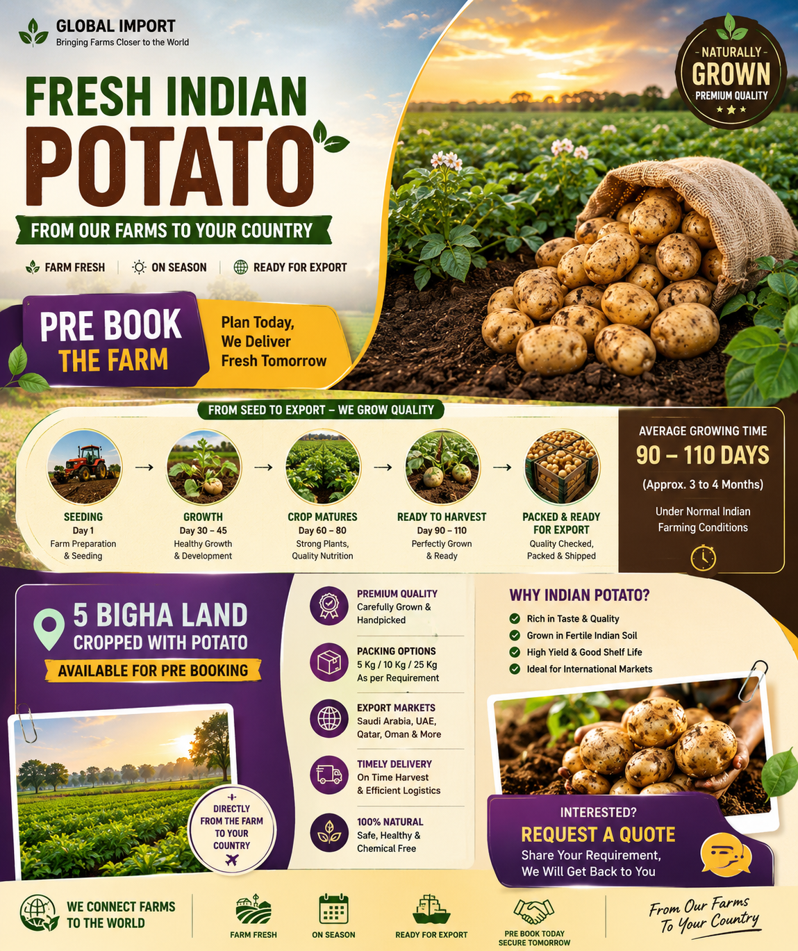 Fresh Indian potato farm crop available for pre-booking