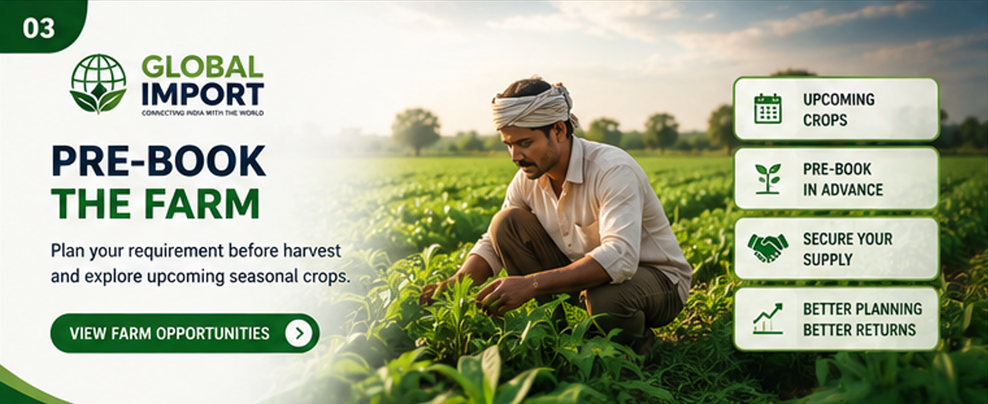 Global Import fresh vegetables